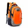 Школьный рюкзак Chansin - оранжевый